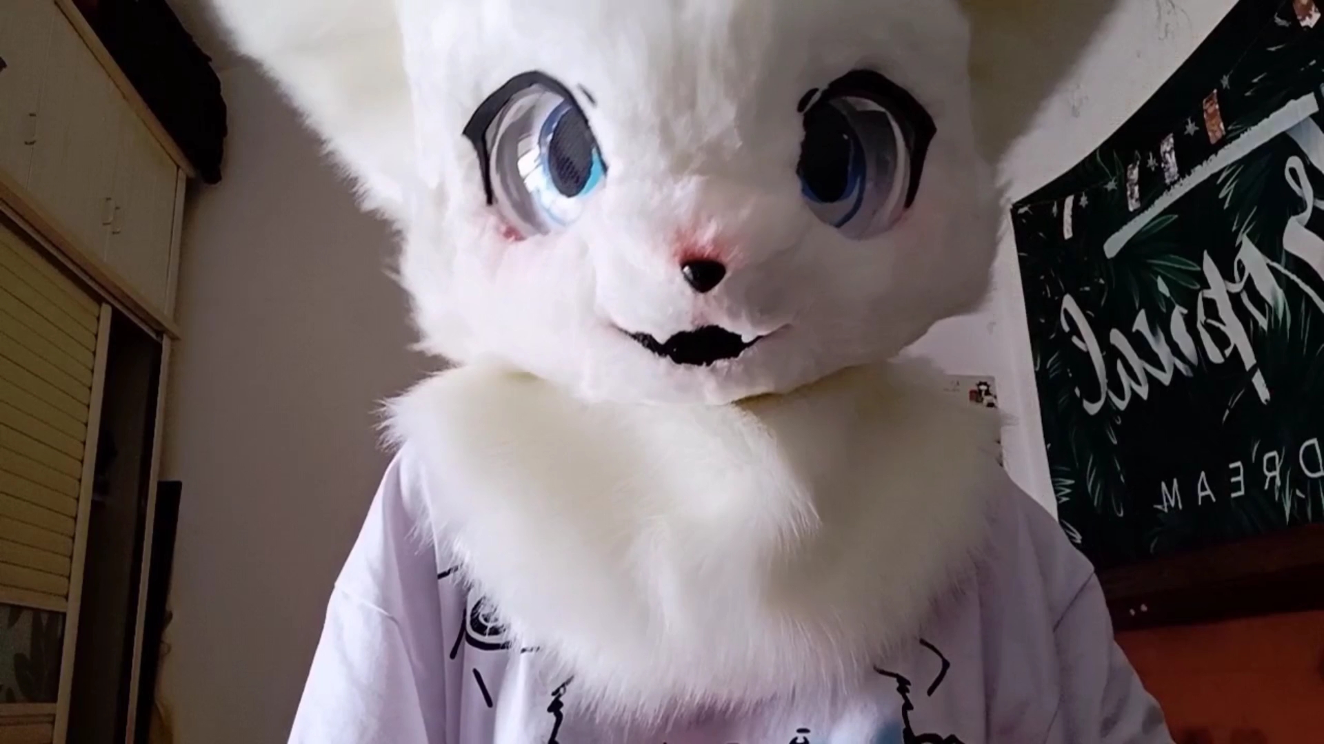 【fursuit兽装展示】小狐狸