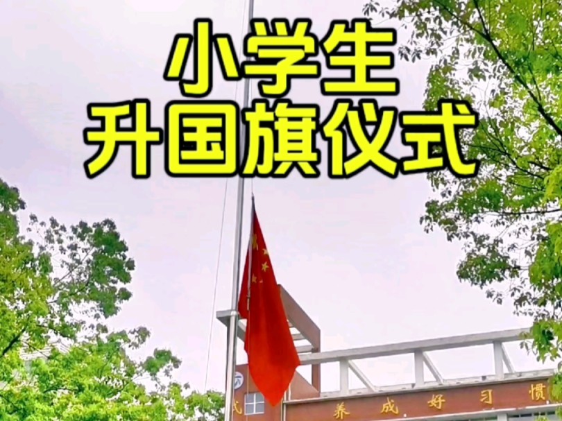 小学生升国旗哔哩哔哩bilibili