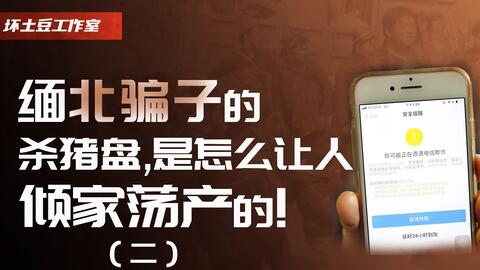 杀猪盘 二 黑产交织的杀猪盘已产业化 人性的弱点是拿捏的关键 哔哩哔哩