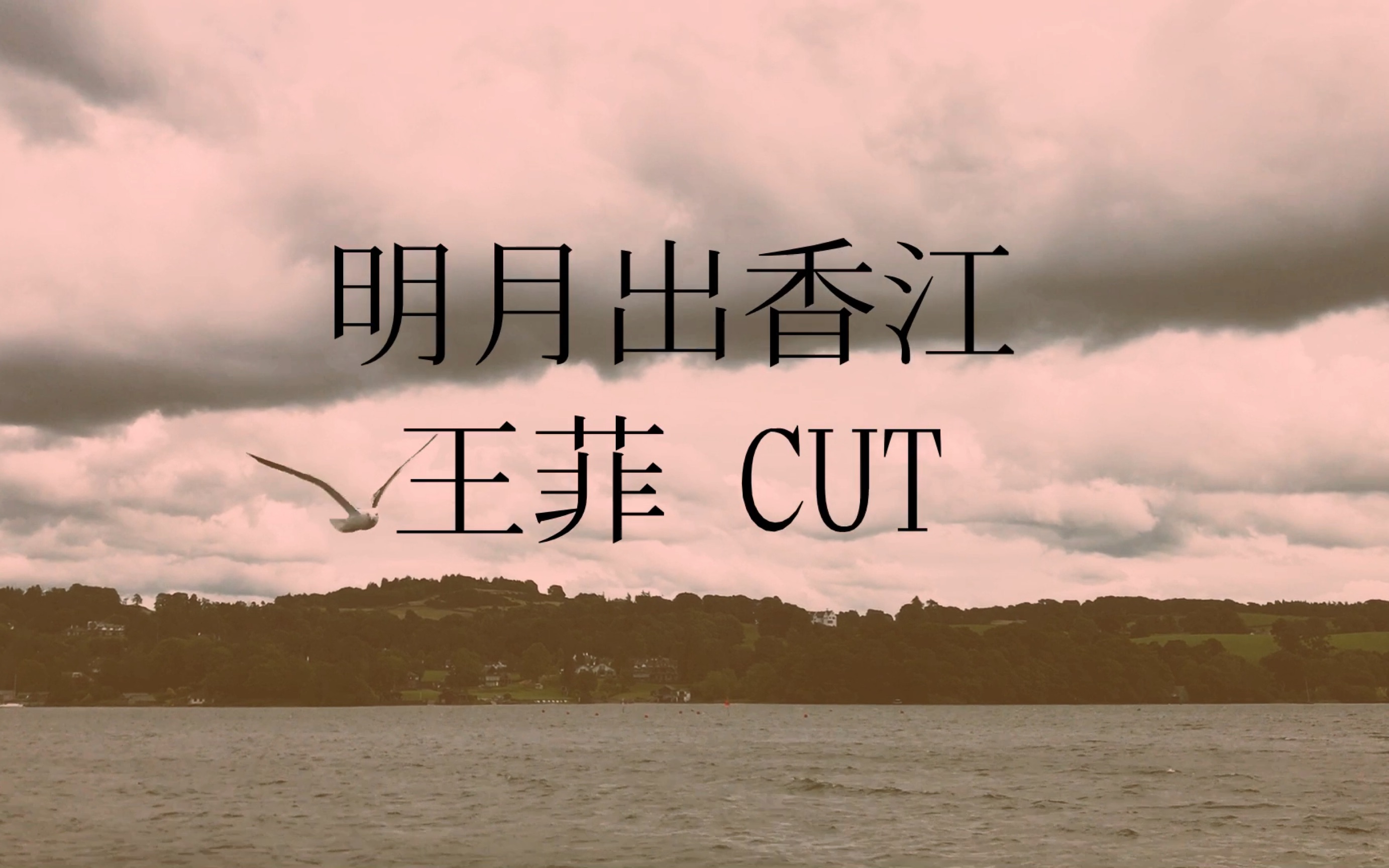 [图]自娱自乐｜袅袅在明月 宛转出香江｜《明月出香江》王菲cut