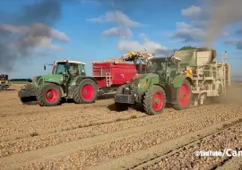 Скачать видео: 用 Fendt Vario 720 和 Fendt 724 收获洋葱