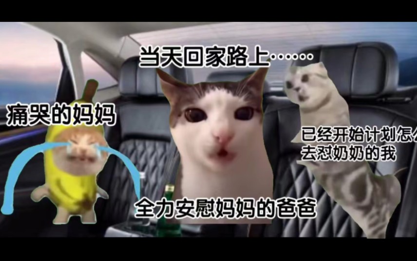 [meme猫]当重男轻女的奶奶用去世的外公外婆揭妈妈伤疤,还用村里一个处处不如我妈但是生了两个儿子的女人阴阳我们时……哔哩哔哩bilibili