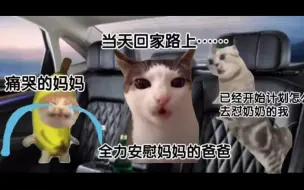 Download Video: [meme猫]当重男轻女的奶奶用去世的外公外婆揭妈妈伤疤，还用村里一个处处不如我妈但是生了两个儿子的女人阴阳我们时……