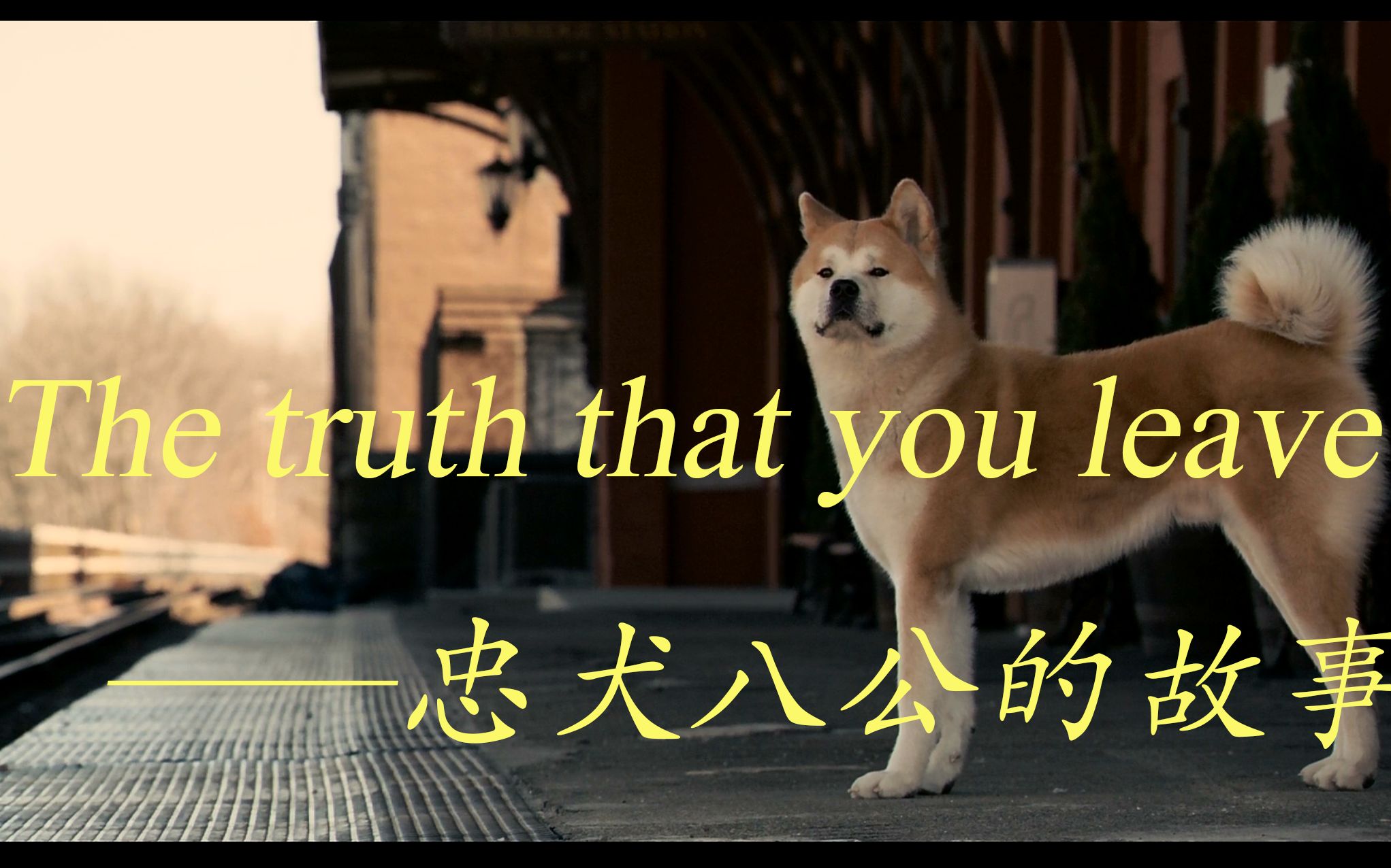 [图]The truth that you leave-忠犬八公的故事