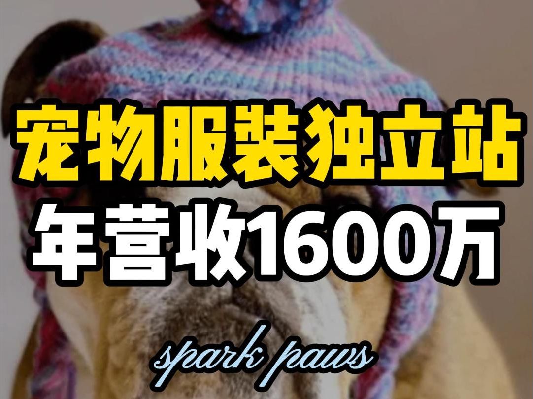 宠物服装独立站,年营收1600万哔哩哔哩bilibili