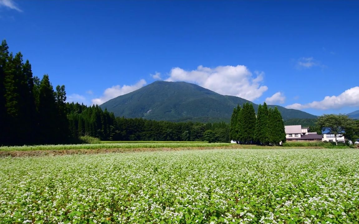 [图]【超清日本】第一视角 荞麦花和日晕的长野县黑姬山 2019.7