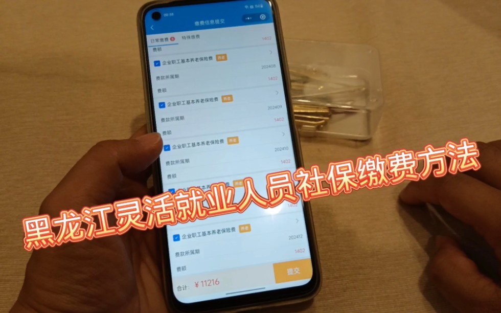 黑龙江省灵活就业人员社保缴费攻略,个人觉得比较简单的方法哔哩哔哩bilibili