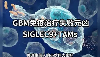 生信热点分享：GBM免疫治疗失败元凶：SIGLEC9+TAMs