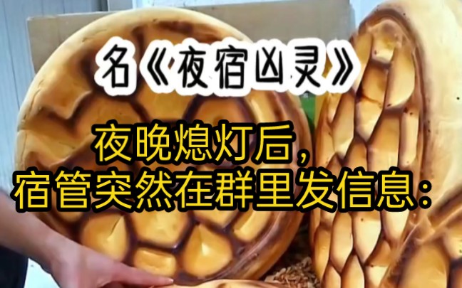 [图]《已完结》夜晚熄灯，宿管突然在群里发信息：《突击检查，各位同学请开灯，不然按外出过夜上报违纪》。我正要去开灯，503的同学却突然私信我说：《别开灯，他是在……》