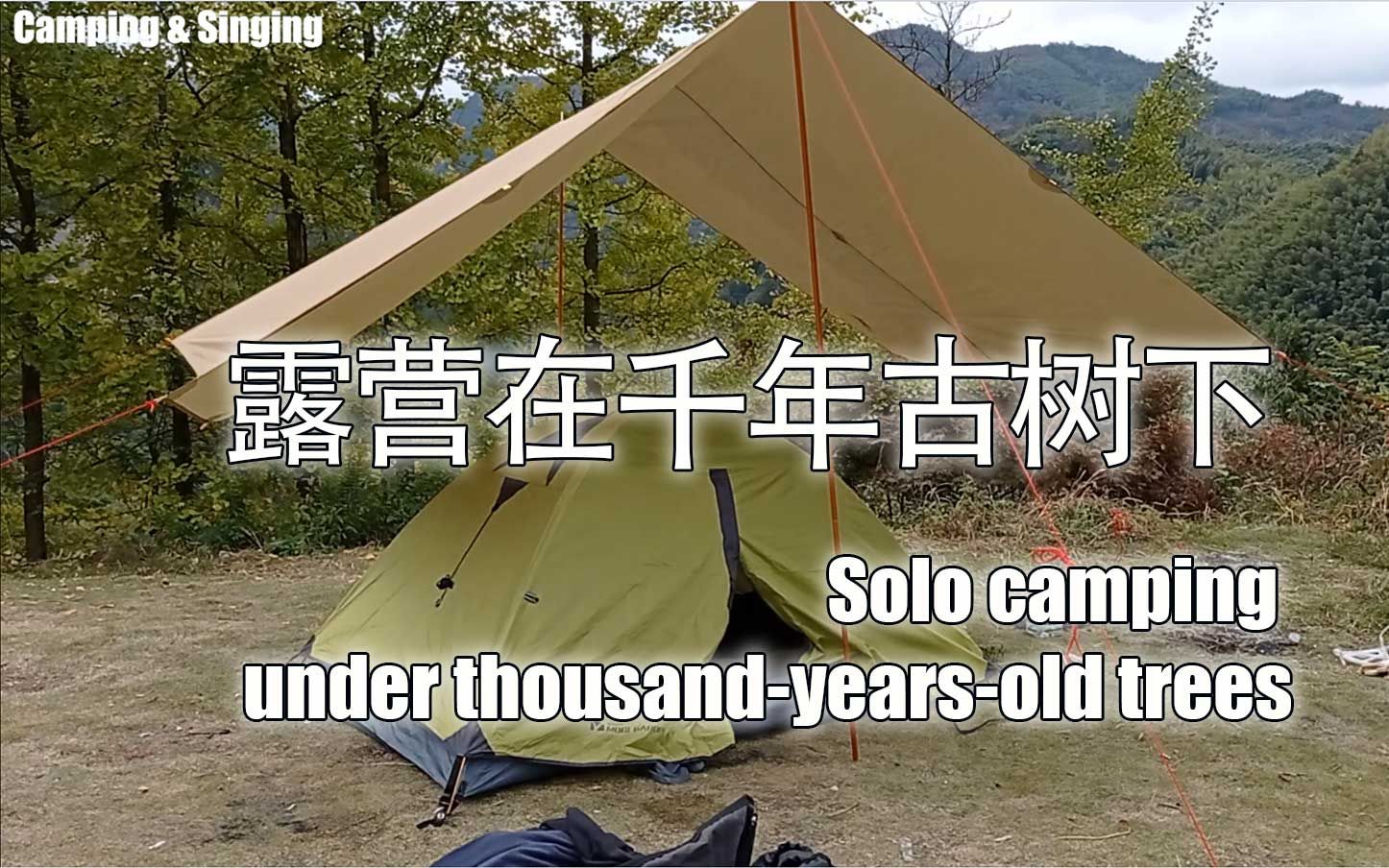 [图]四明山-千年古树下的露营 #solo camping