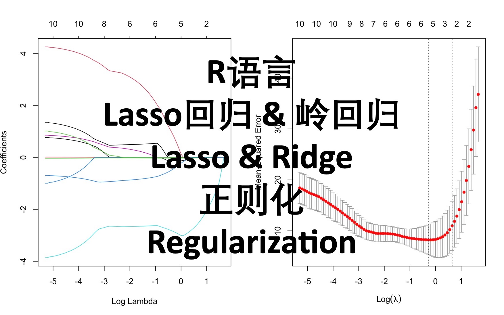 R语言 正则化 Regularization Lasso回归 Ridge回归 岭回归 回归模型评估哔哩哔哩bilibili