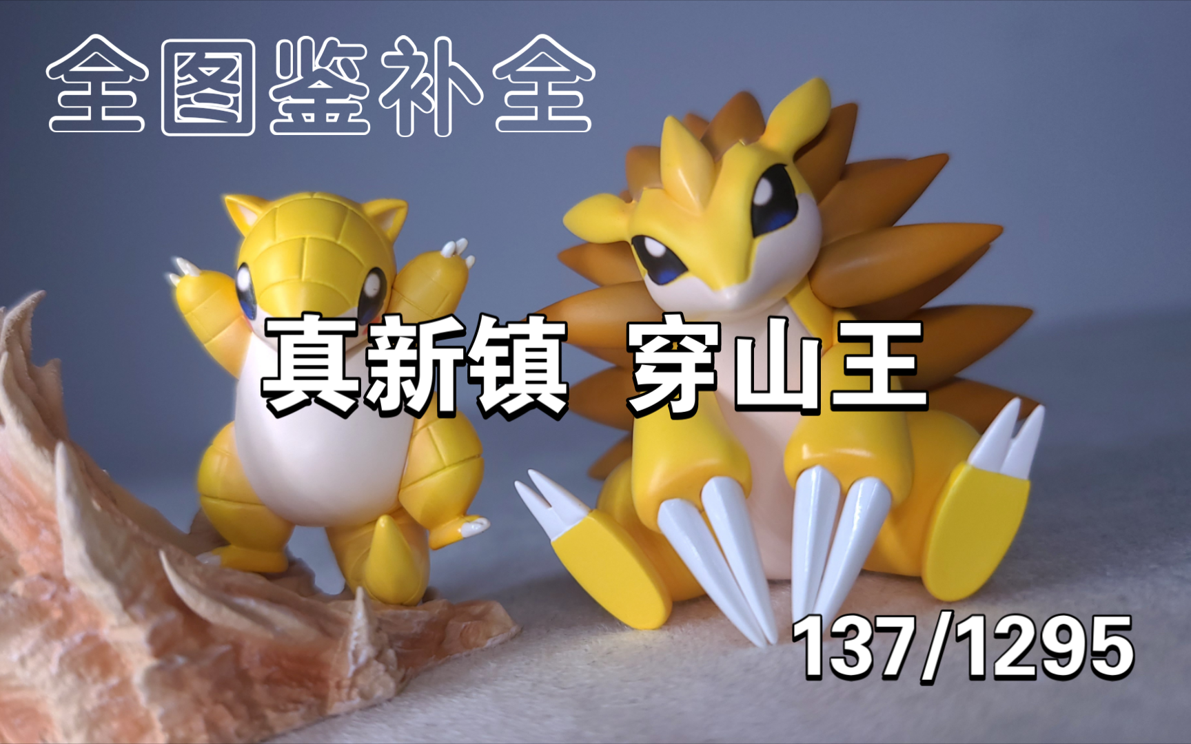 软萌鼠鼠 真新镇 穿山王进化组 测评