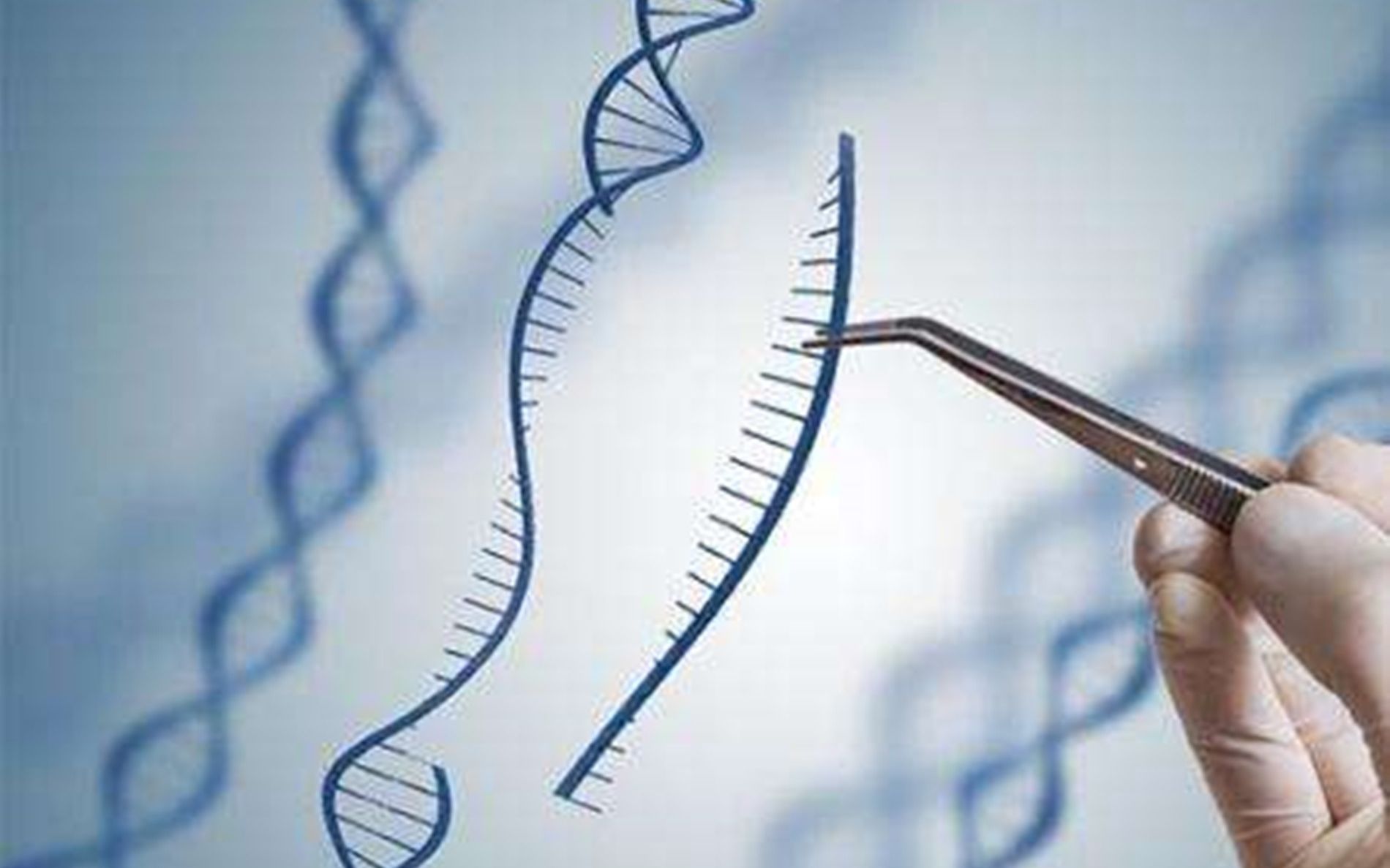 艾可生物化学第十二期课程节选共价修饰哔哩哔哩bilibili