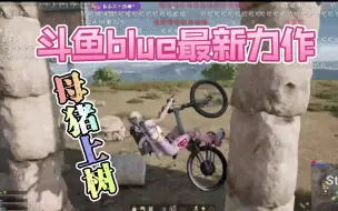 Download Video: 【斗鱼blue】最新力作《母猪上树》，继拖米《眼镜王蛇舞》后又一PUBG越野高手出现。