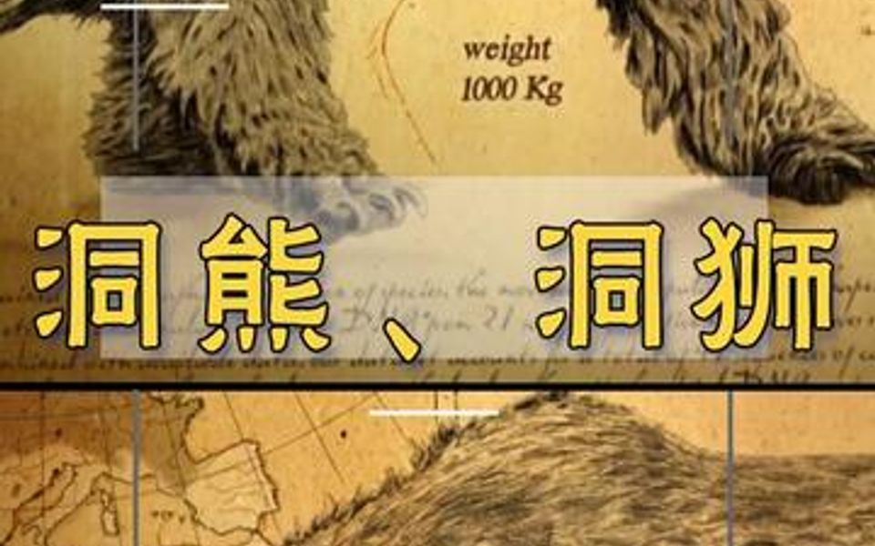 冰河时期恐怖巨兽洞熊和洞狮在洞穴里面相遇会发生什么