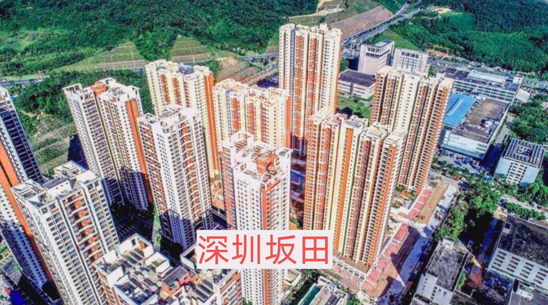 深圳郊区,呈祥花园,乘车视角带大看看_哔哩哔哩 (゜-゜)つロ 干杯