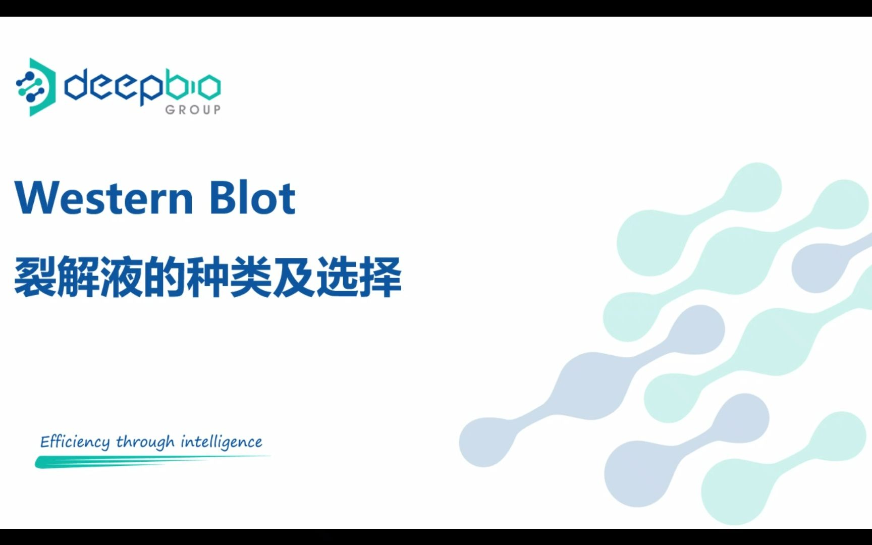 Western Blot 不同样品如何选择合适的裂解液哔哩哔哩bilibili