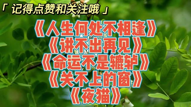 [图]2022精选5首伤感情歌，首首动听，带你回到那个经典的年代！