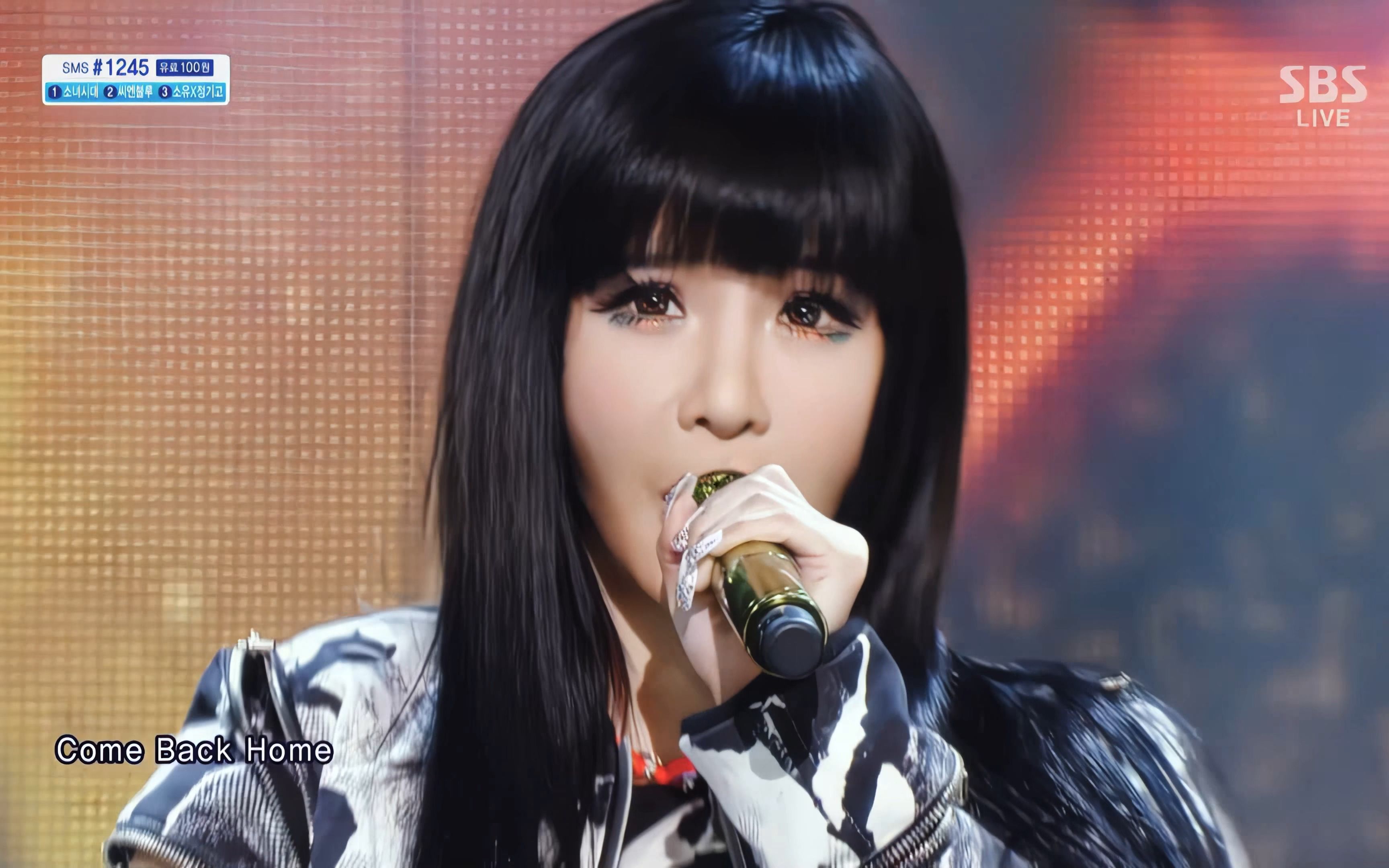【4k live】2ne1 - crush come back home(140309)