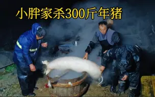 Video herunterladen: 恩施农村杀年猪！300多斤大肥猪4个壮汉差点没捉住，这肉质太好了