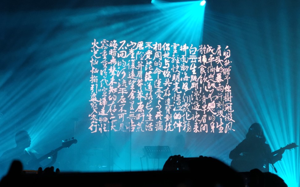 万能青年旅店厦门22.05.22-山雀