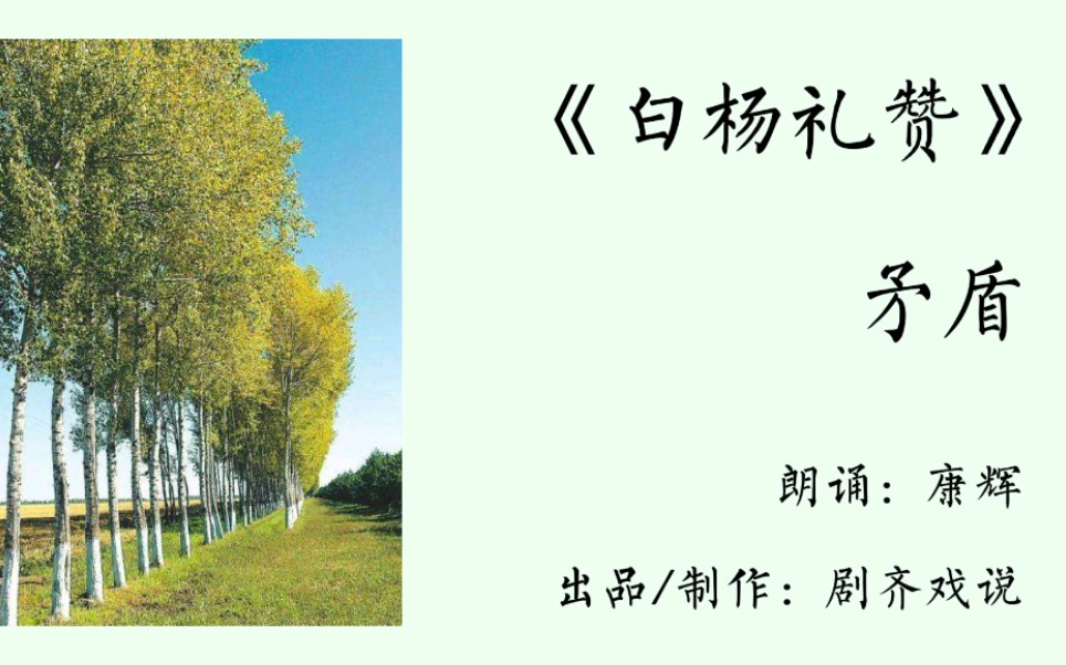 普测60篇——作品1号《白杨礼赞》 (朗诵:康辉 出品/制作:剧齐戏说)哔哩哔哩bilibili