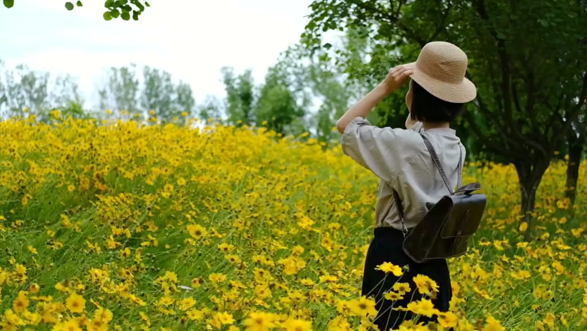 [图]经典歌曲-《错误的爱》