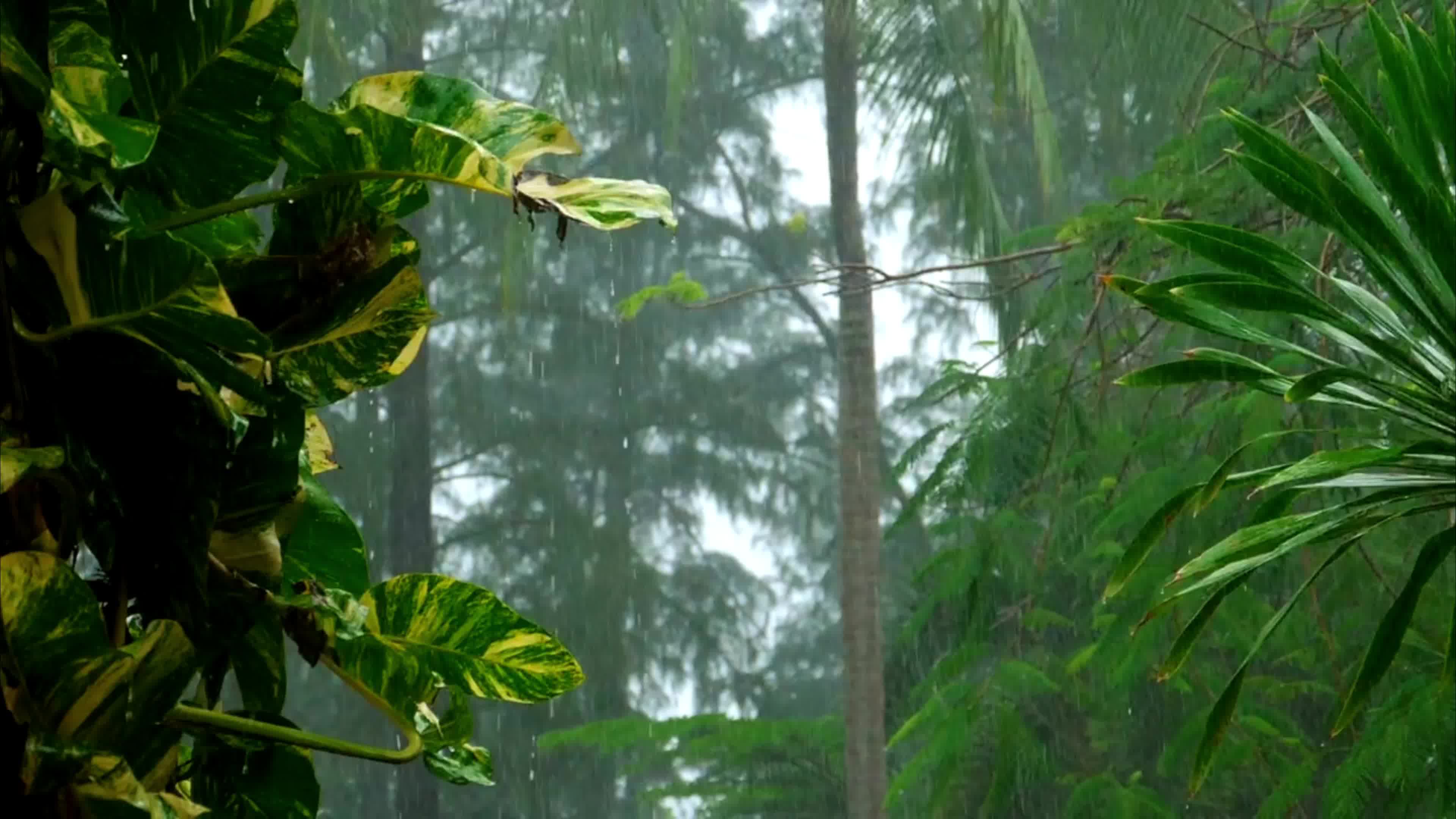 [图]Musica para Estudiar y Soñar细雨声声|||||纯音乐|||||幸与不幸都有尽头，如果感到疲倦就停下来听一听雨声，安心的睡下。