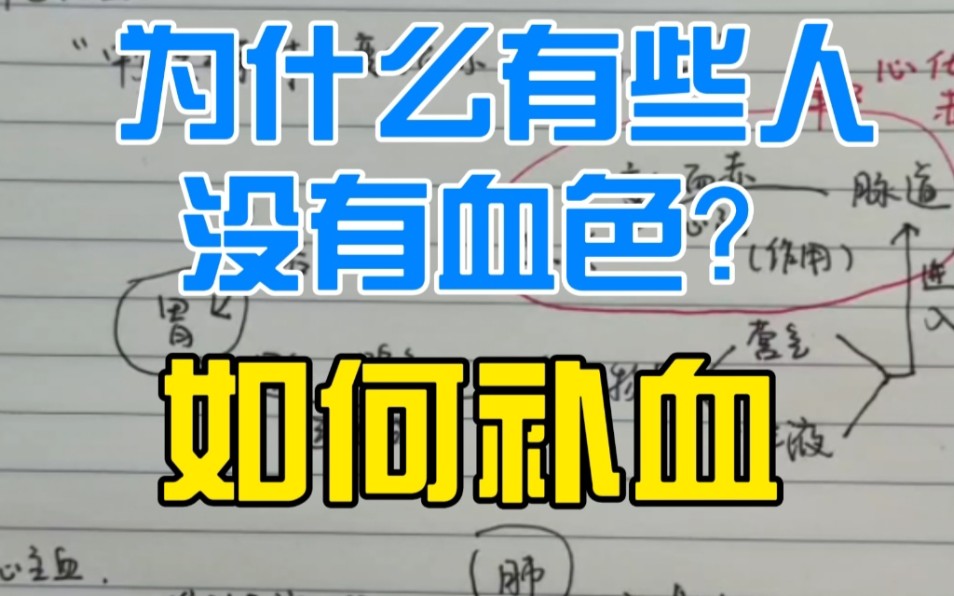 【零基础学中医】心主血,血的生成过程哔哩哔哩bilibili