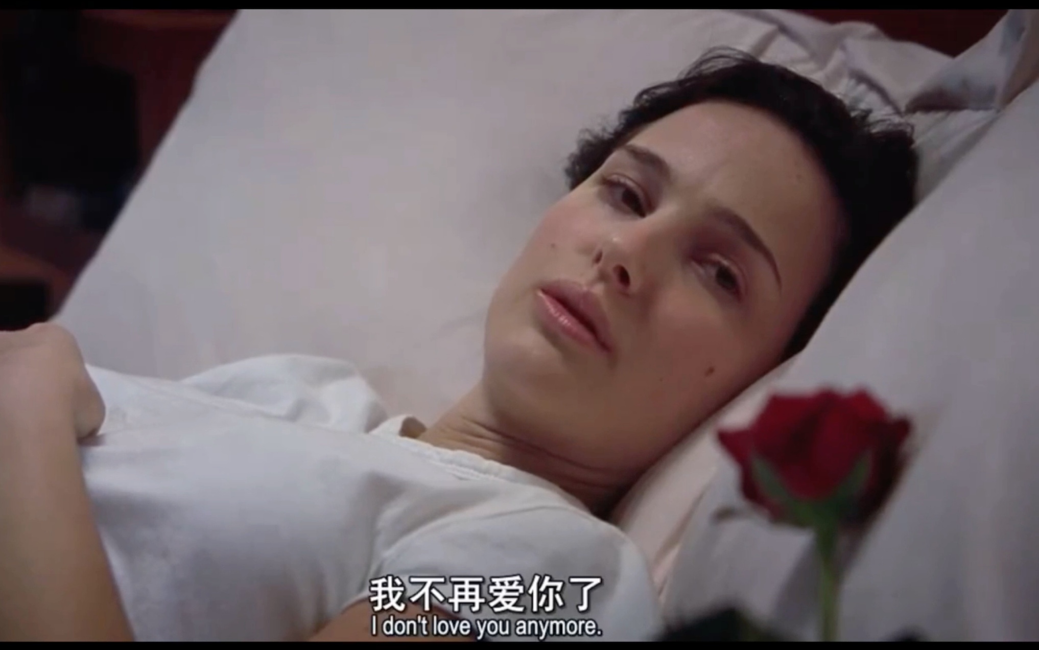 i don love you anymore/《偷心》