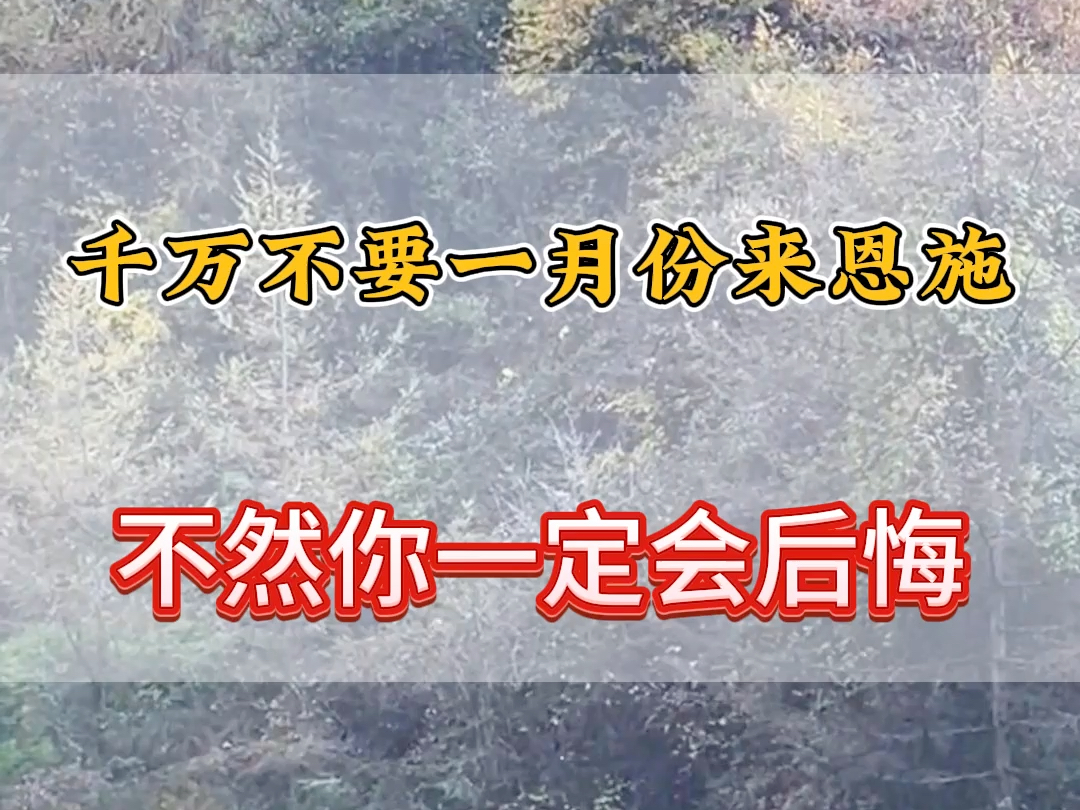 一月份千万不要来湖北恩施了,不然您一定会后悔,今天给大家整理了一份性价比超高,体验度极好的恩施旅游攻略,看完就出发吧#恩施旅游攻略 #屏山大...