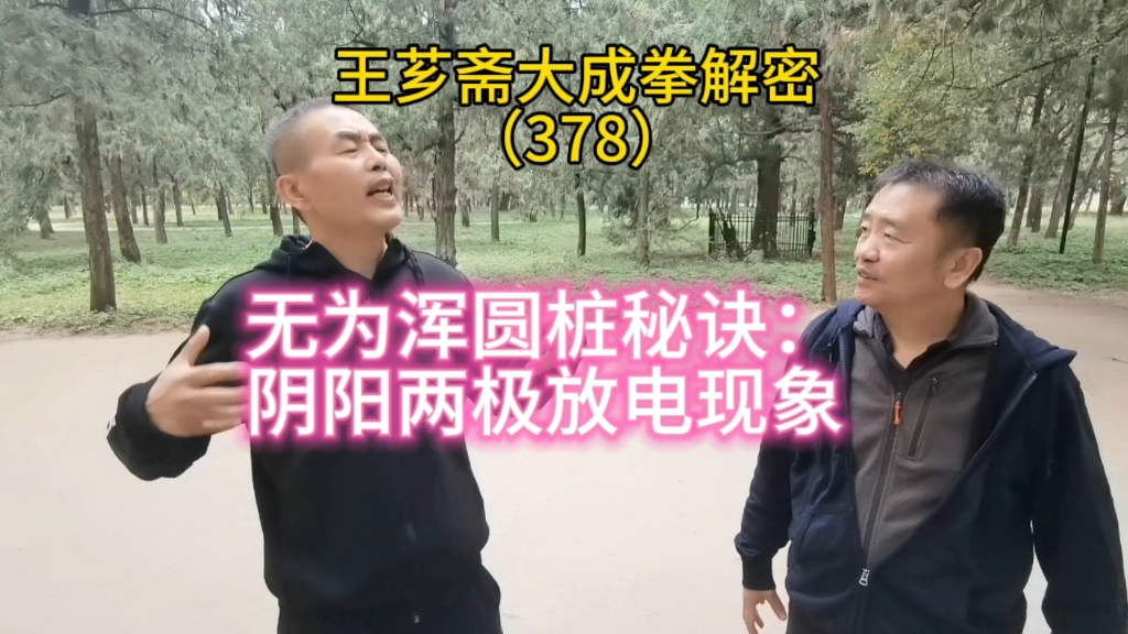 [图]第378集|很少有人达到的浑圆桩中脉阴阳两极放电现象！学习无为法浑圆桩可加关注私聊！