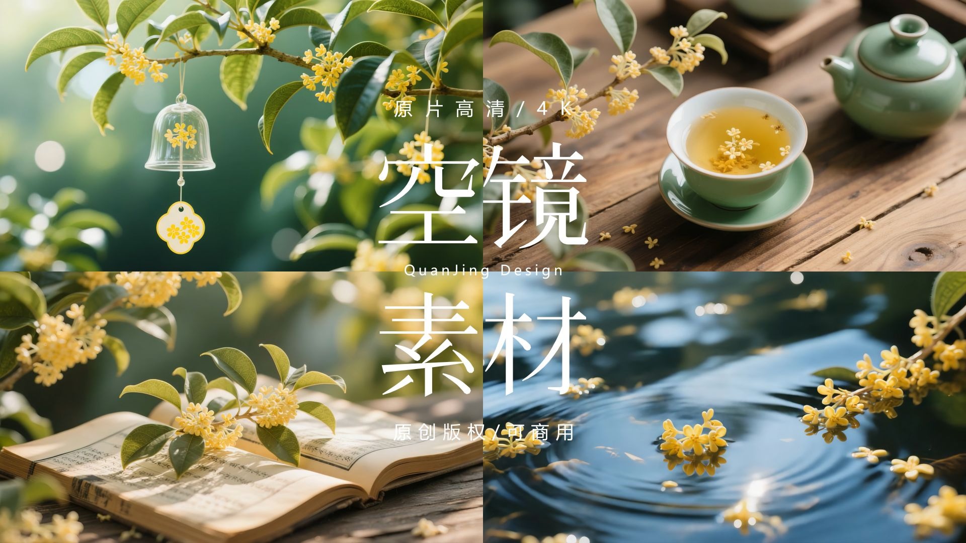 可商用视频素材｜金秋桂花盛开桂花飘香特写唯美空镜