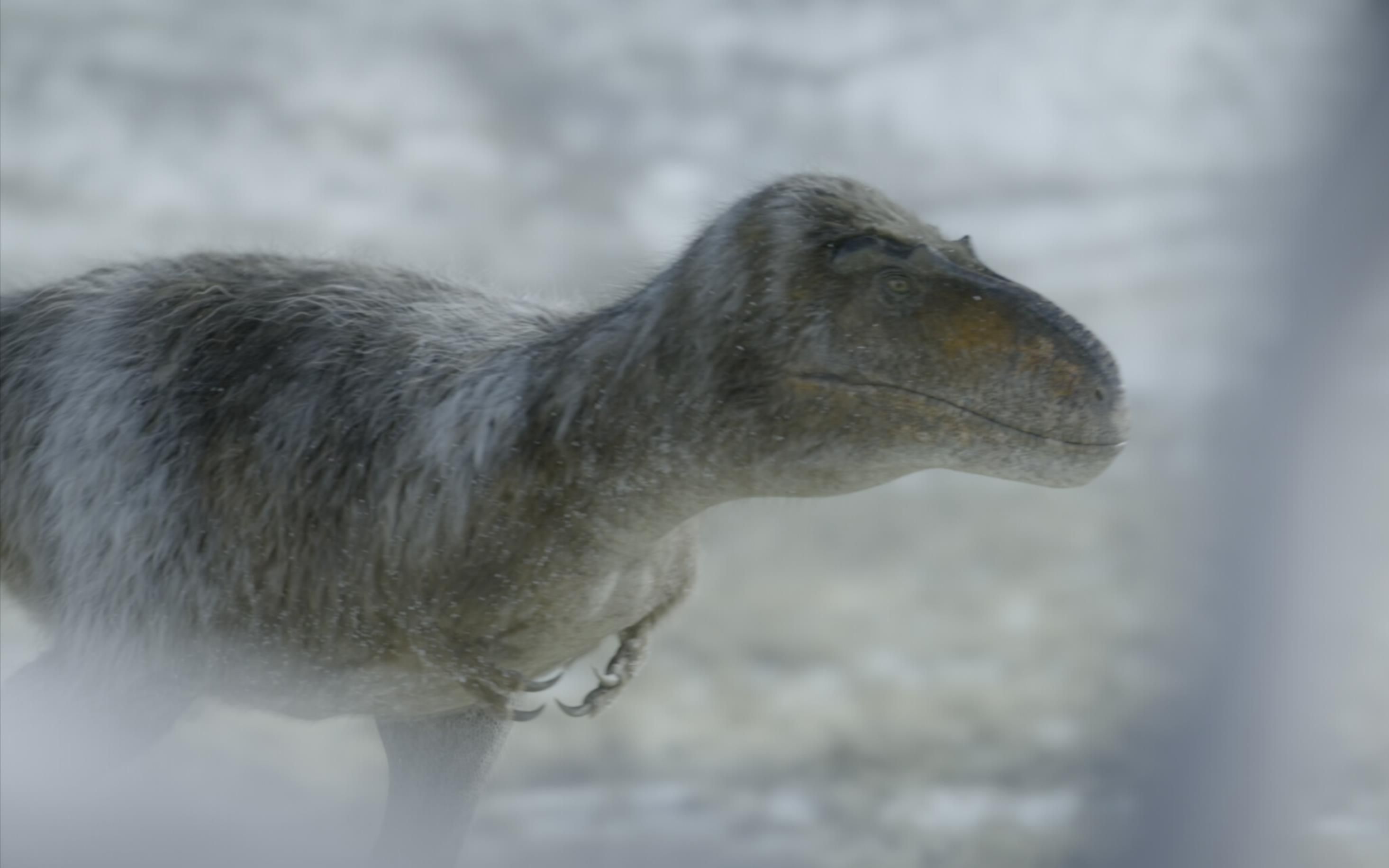 白熊龙nanuqsaurus:恐龙剪辑