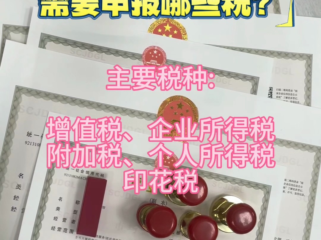 注册公司后需要申报哪些税?哔哩哔哩bilibili