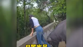 不可以哦！！！