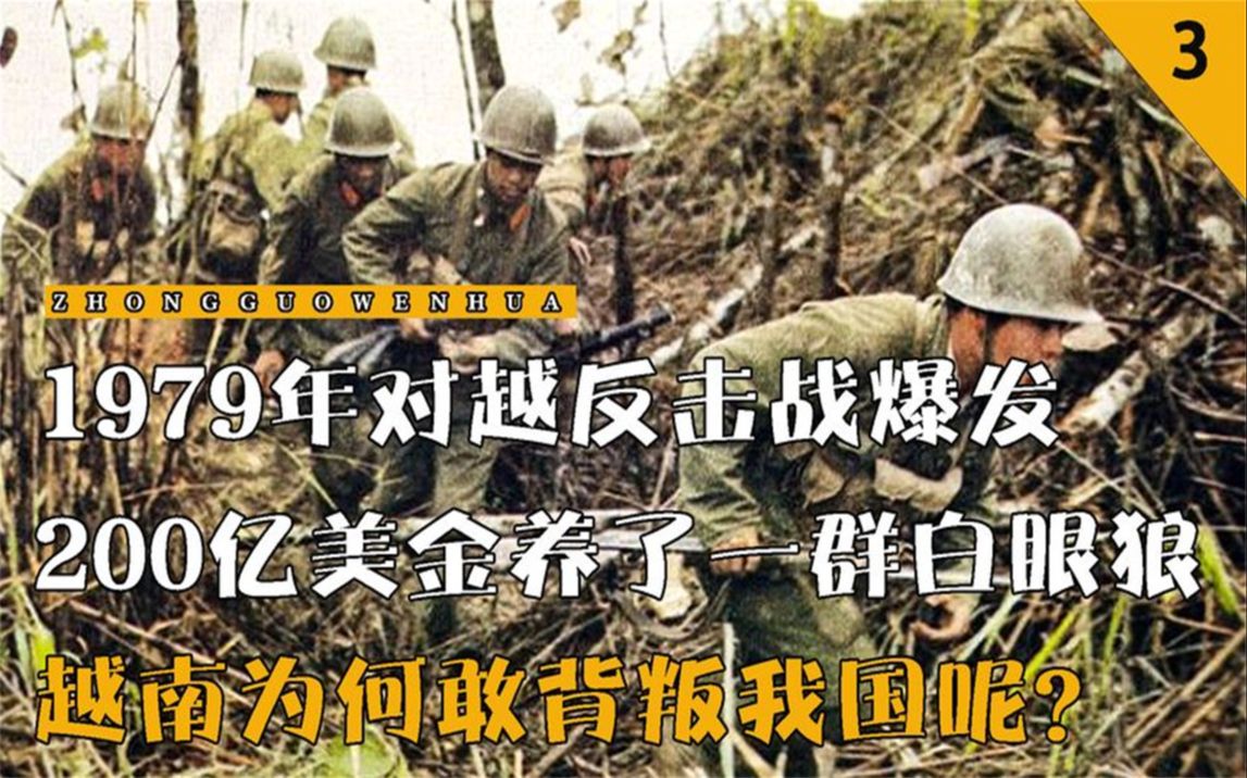 1979年反击战爆发,200亿养了一群白眼狼,越南为何背叛我国呢?