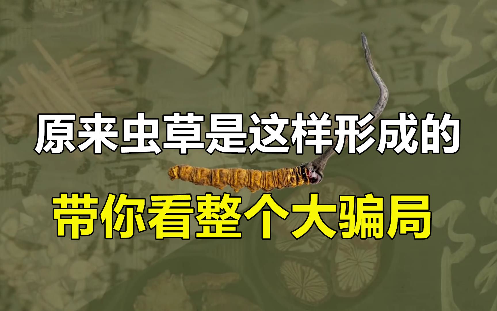 清热解毒水葱具有清热解毒的作用,可以用于治疗热毒病,痈肿疮疡等