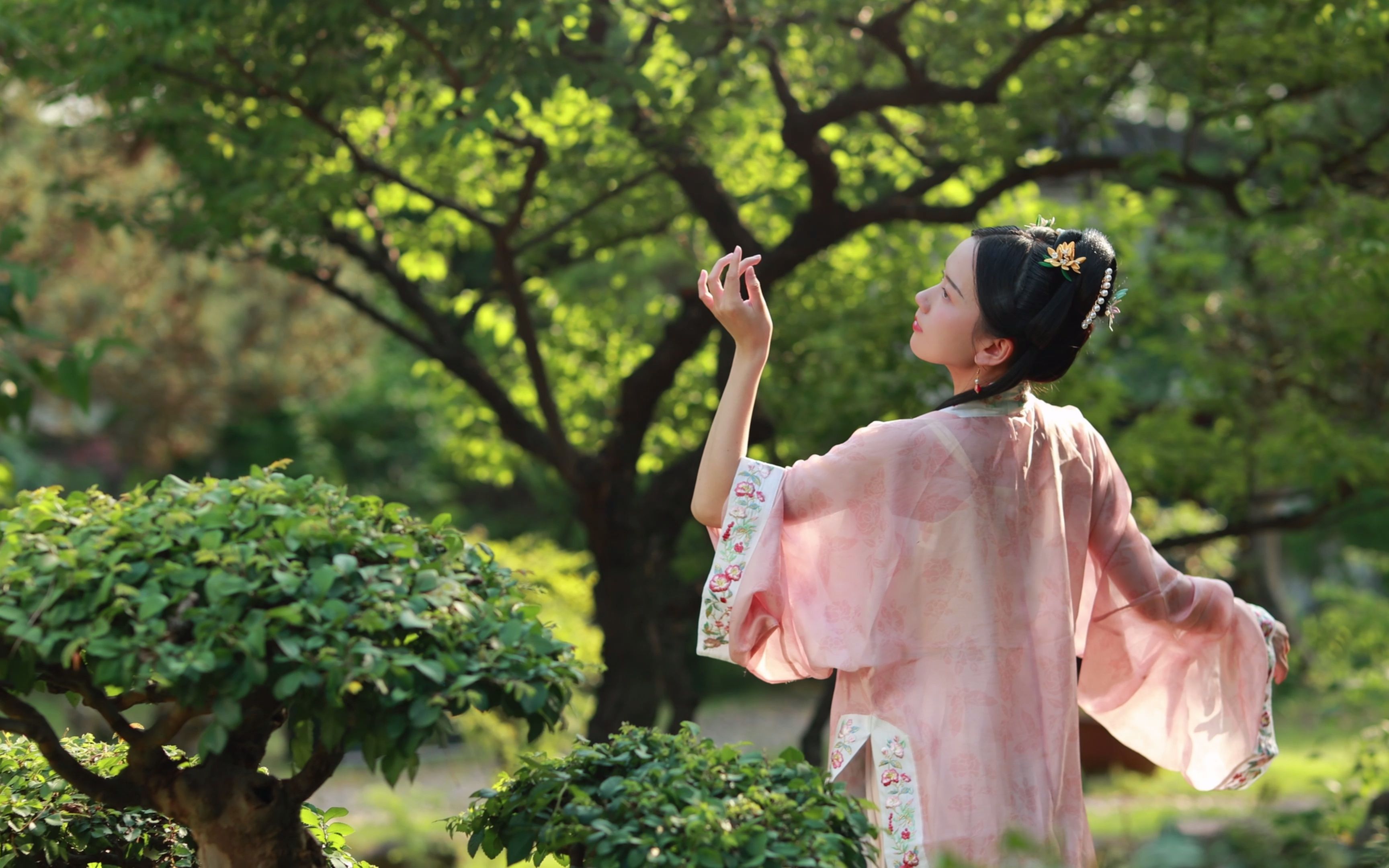 [图]【霜雪千年】“梨花香 缠着衣角掠过熙攘”