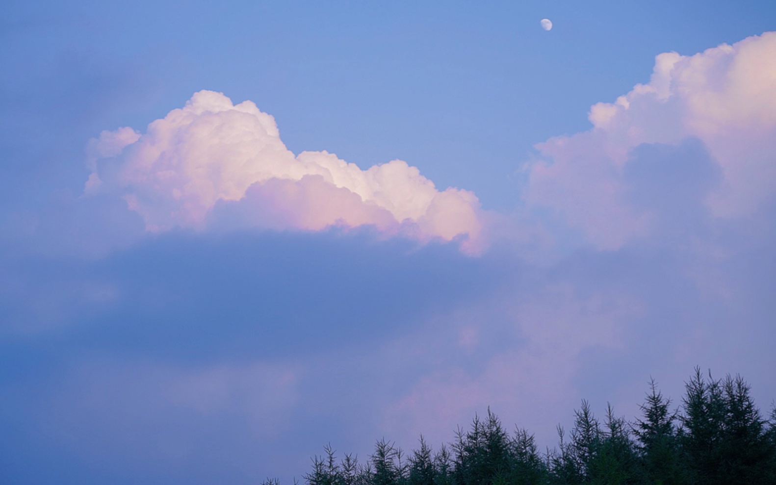 喜欢天空的人一定很温柔吧