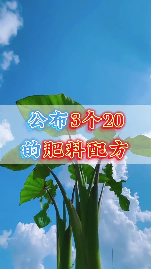 公布3个20的肥料配方!哔哩哔哩bilibili