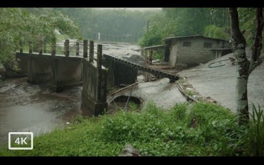 [图]漫步到河岸上一个令人惊叹的南印度村庄——雨天漫步 4K