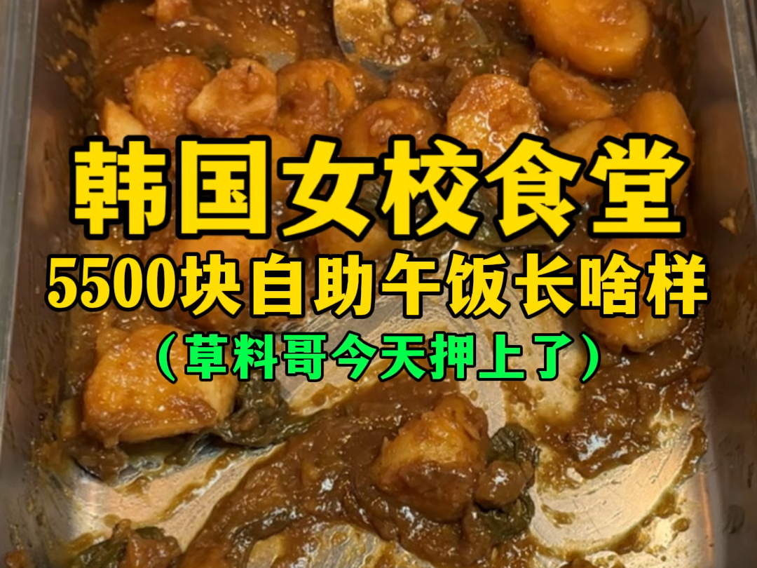 祝大家中秋节快乐~这回食堂休息好几天,外面也没啥开门的,我吃点啥呢?哔哩哔哩bilibili