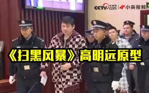 Tải video: 《扫黑风暴》中高明远的原型——长沙“黑老大”文烈宏