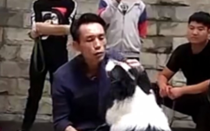 犬道拳王唐伟敏PK雷电之父杨永信哔哩哔哩bilibili