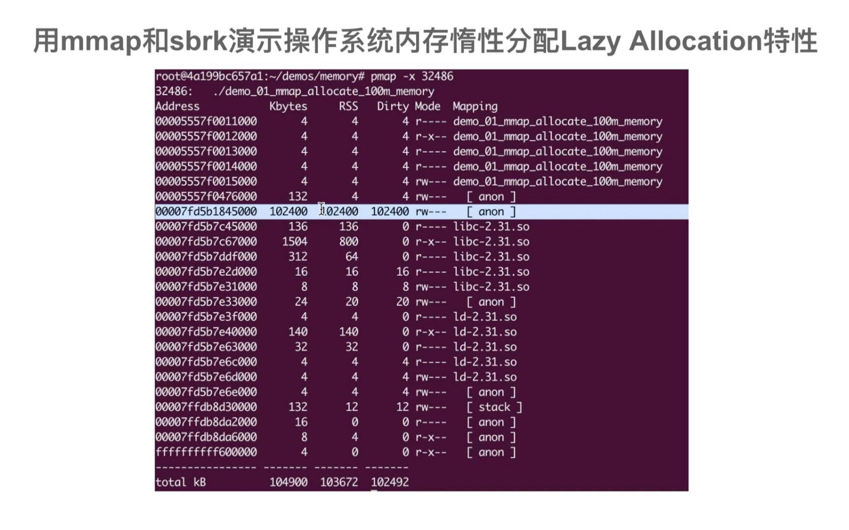 用mmap和sbrk演示操作系统内存Lazy Allocation/On Demand特性哔哩哔哩bilibili