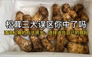 下载视频: 松茸怎么清洗，看过来