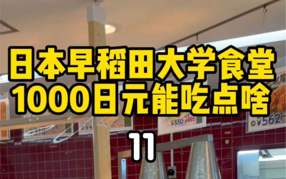 第11集|早稻田大学食堂吃饭日记~用校长名字命名的饭原来长这样?哔哩哔哩bilibili