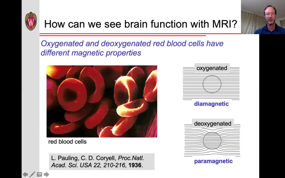 功能磁共振对比机制 fMRI contrast mechanisms哔哩哔哩bilibili