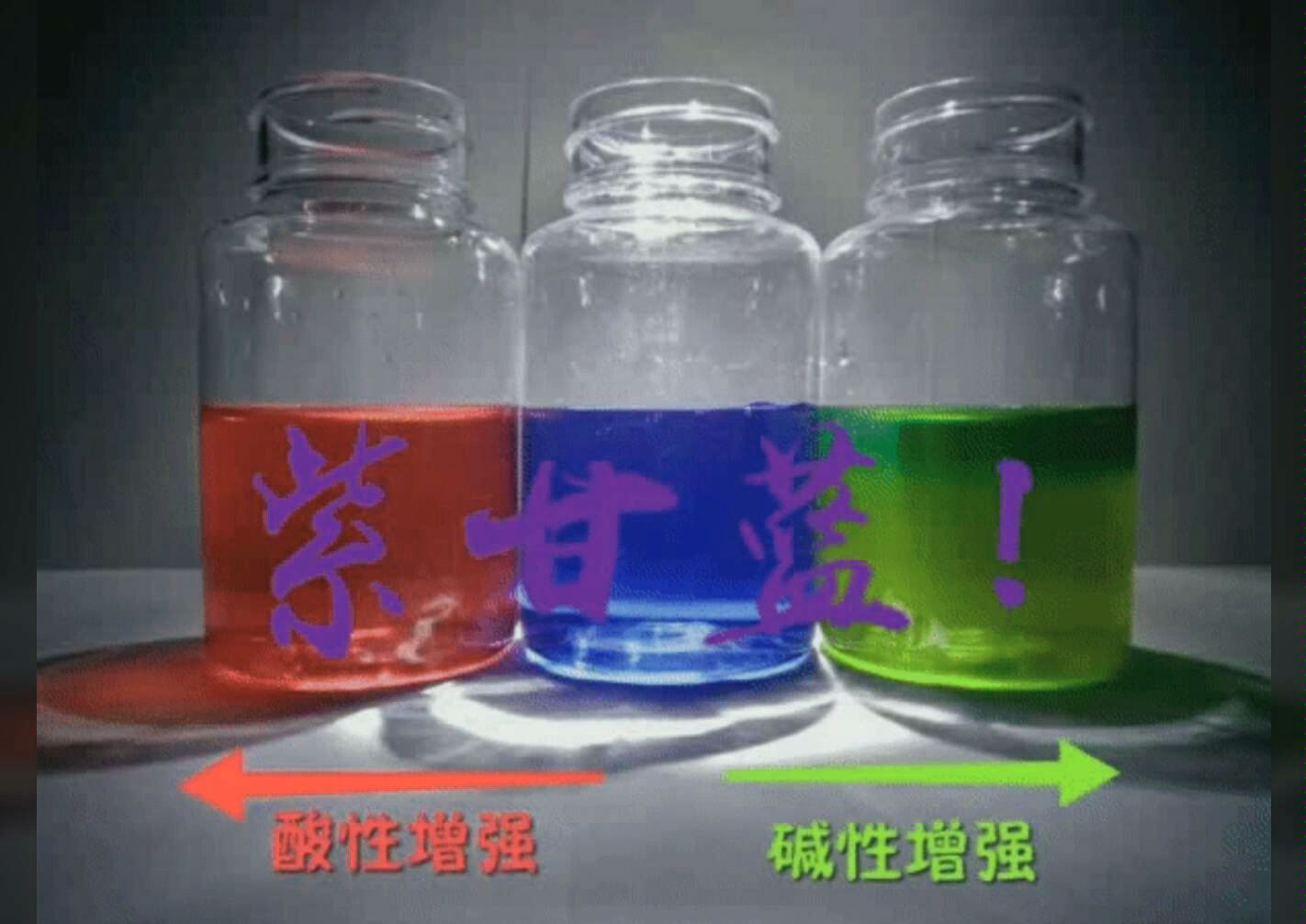 紫甘蓝我们身边制作酸碱指示剂的材料